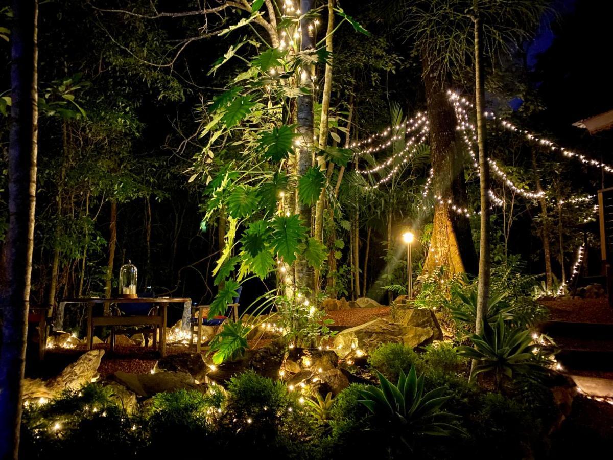 Cairns Rainforest Retreat Zewnętrze zdjęcie